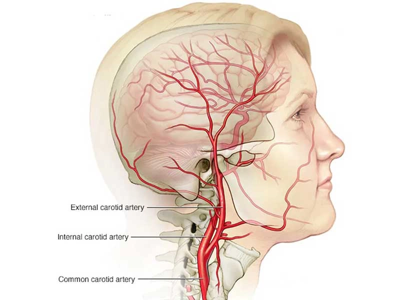 Advantages & Clinical Outcomes